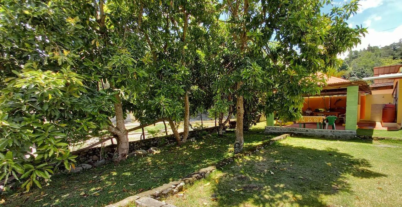 Conrado'S Guesthouse B&B Las Avispas Exterior photo